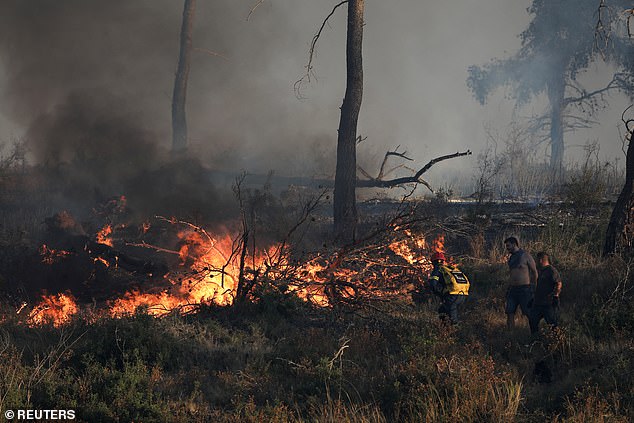 A firefighter and volunteers try to extinguish a wildfire burning in Stamata, near Athens, Greece, June 30