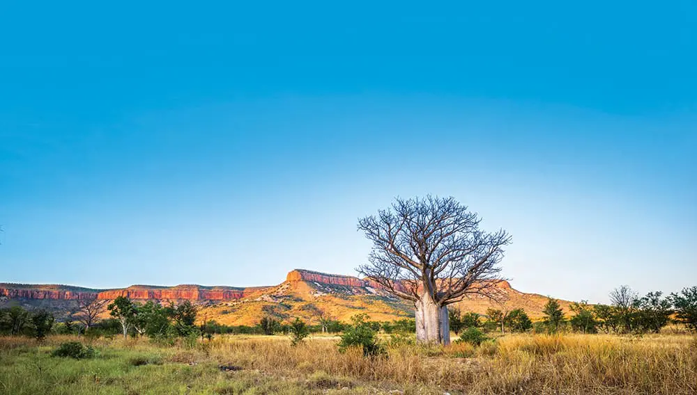 Travelmarvel El Questro in the Kimberley, WA.