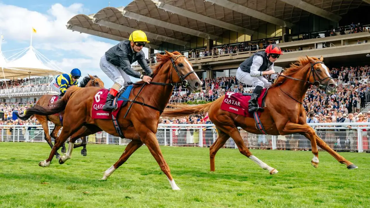 Horses race at Qatar Glorious Goodwood