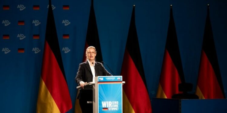 German AfD launches third far-right group “Europe of Sovereign Nations” – Euractiv