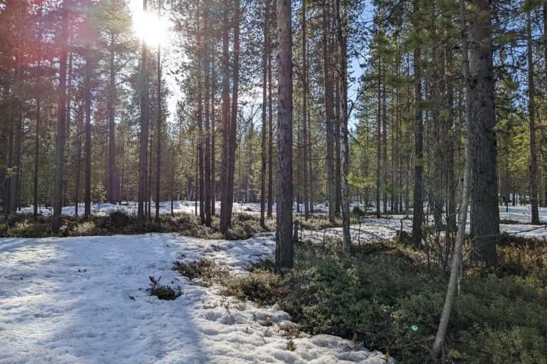 Inari in Lapland, Finland. Image by Karl Chan via Flickr (CC BY-NC-ND 2.0).