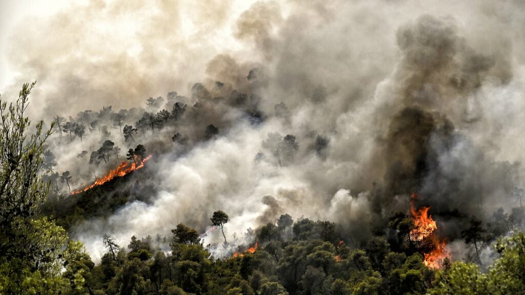 Europe roasts in ferocious 111F (44C) heatwave as Greece battles raging wildfires and Italy sees lakes dry up completely