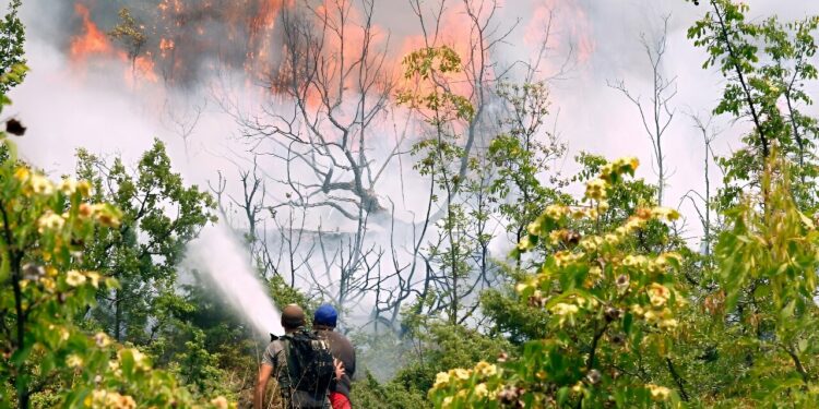 heat waves scorch southern and eastern Europe