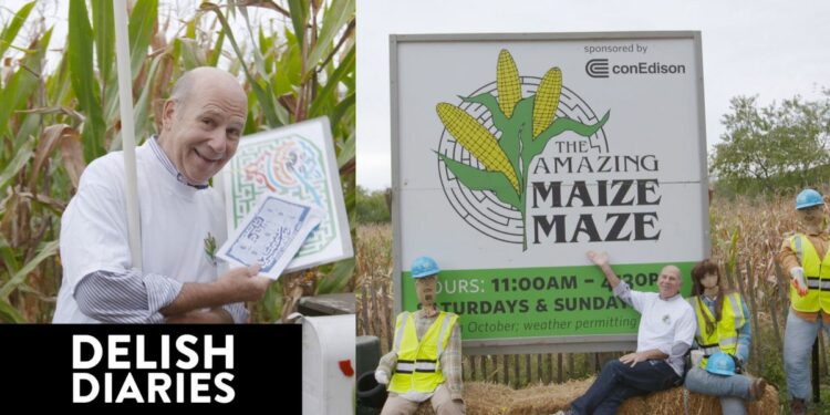What It Really Takes To Design A Corn Maze