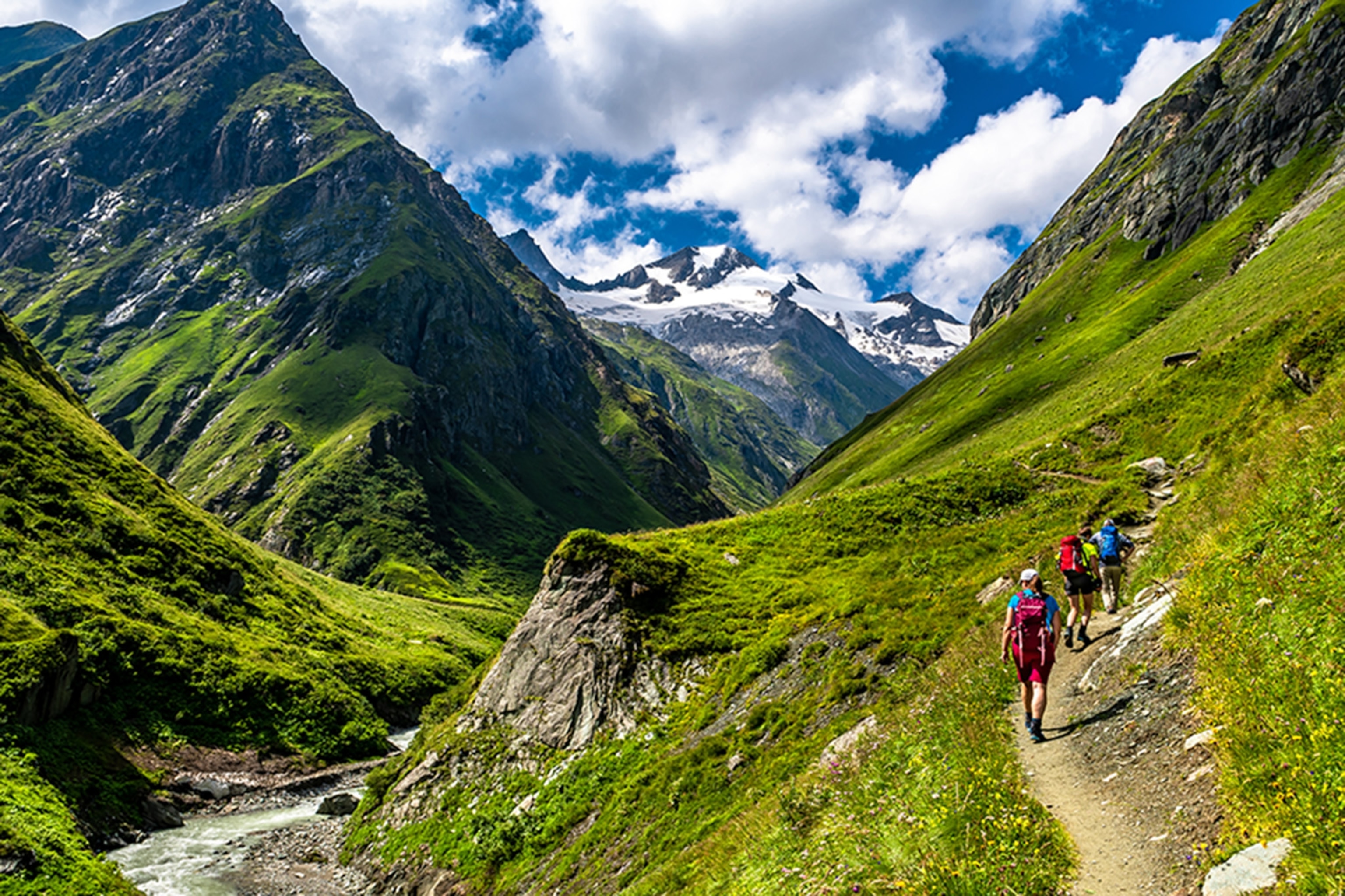 Hiking trail with hikers on a green mountain