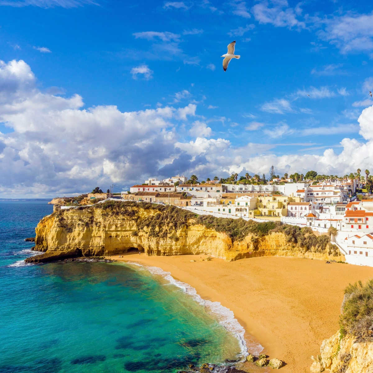 Wide sandy beach, white houses, cloudy sky with seagulls, Carvoeiro, Algarve, Portugal