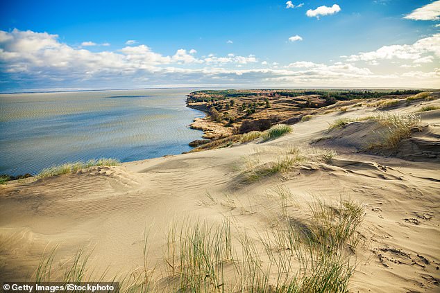 Dunes on the Curonian Spit in Lithuania