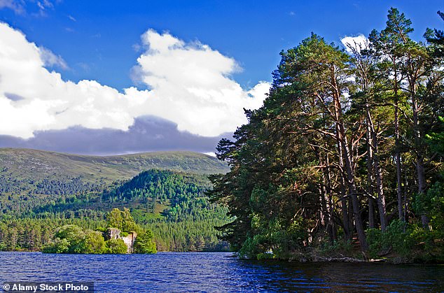 Loch an Eilein in Rothiemurchus in Scotland's Cairngorms National Park