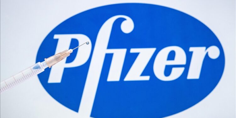 North Macedonia to get Pfizer virus vaccine in February