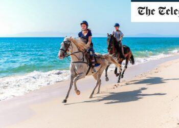 The Hamptons of Europe – where the Continent’s ‘quiet luxury’ set spend their holidays