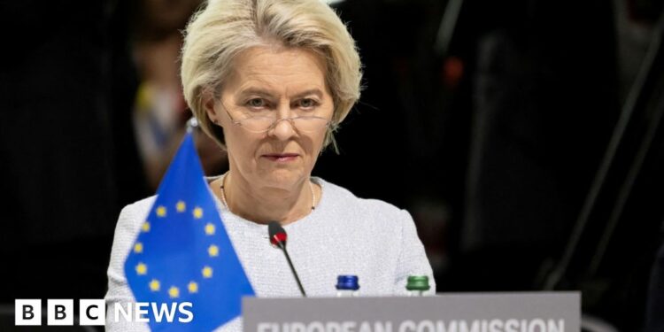 Ursula von der Leyen faces crunch vote in European Parliament on top EU job