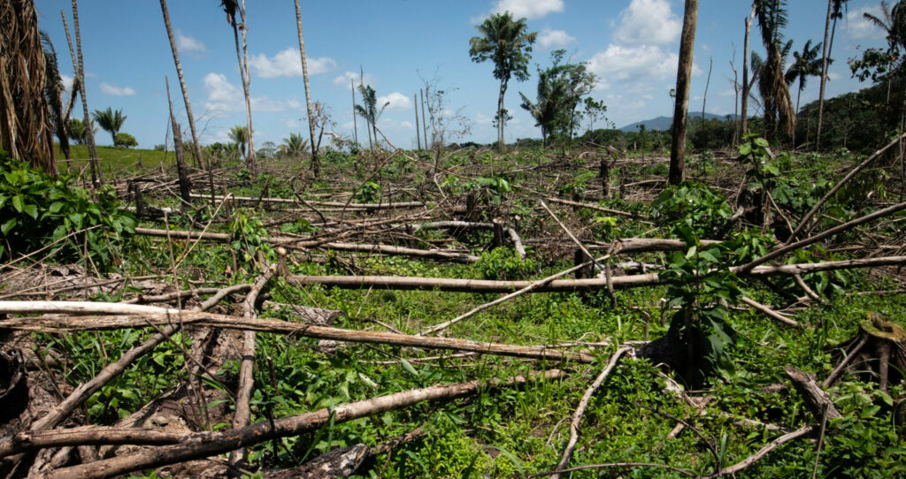 Why we need to end our obsession with sustainability reporting