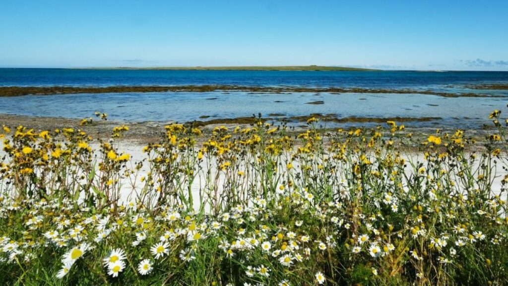 The Atlantic island with Neolithic history, seabirds and hardly any tourists
