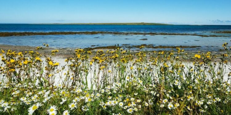 The Atlantic island with Neolithic history, seabirds and hardly any tourists