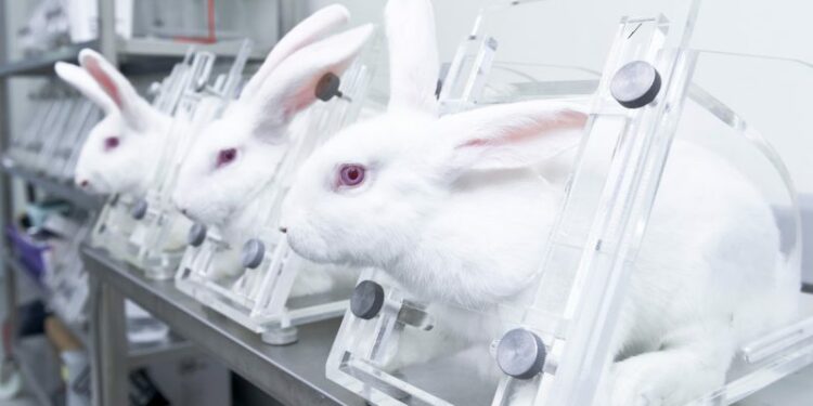 Europe must protect the ban on animal testing of cosmetics ingredients   – Euractiv