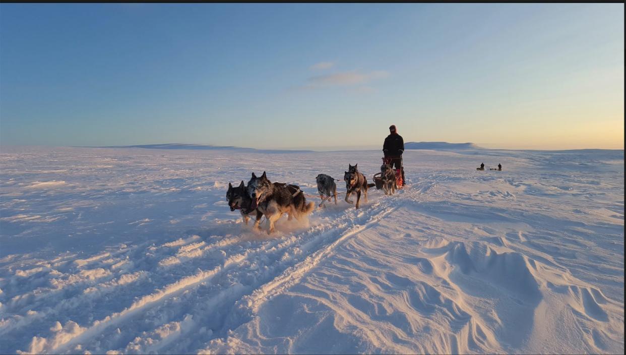 norwegian arctic dog sledding hotel sorrisniva