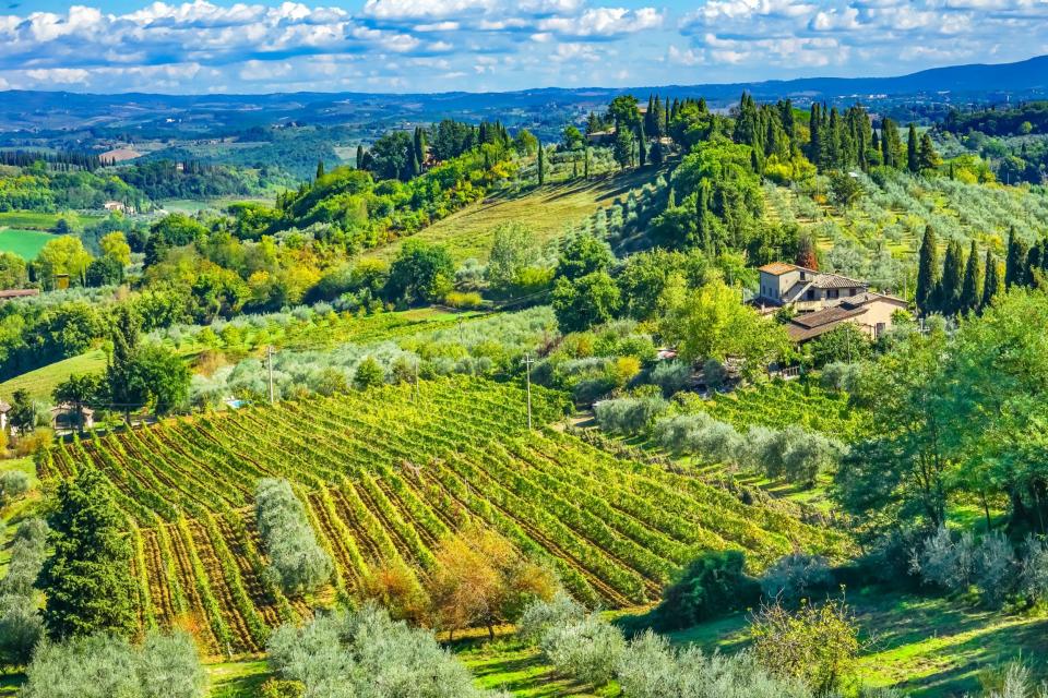 Tuscany is defined by rolling hills, majestic cypress trees and excellent vineyards