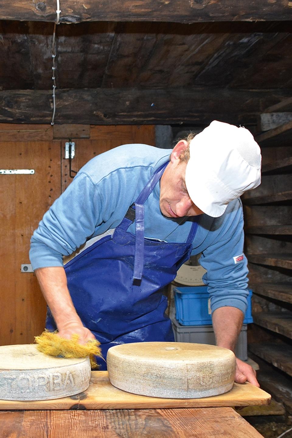 Man in an apron standing over cheese wheels