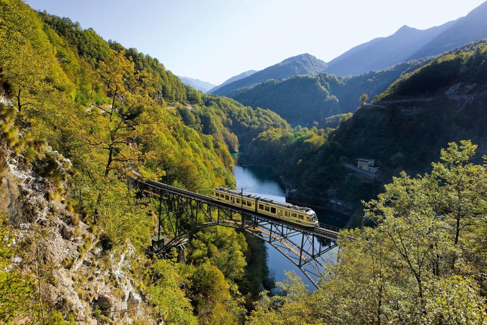 Train crossing over a raised bridge in the middle of a green valley