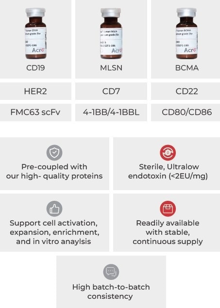 Cell culture grade magnetic beads