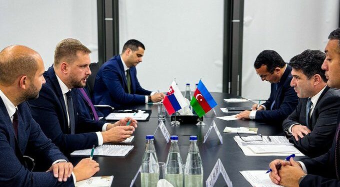 Azerbaijan, Slovakia strengthen energy cooperation in ministerial discussions