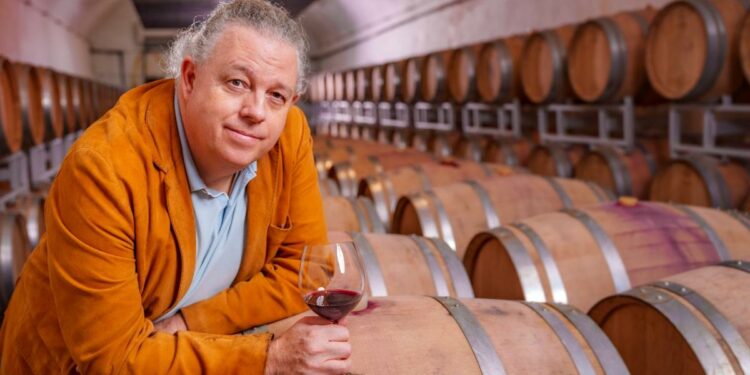 ‘My Romanian winery makes £58m a year but I live on the edge of financial ruin’