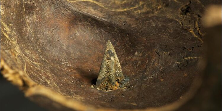 Arrowheads carried by Bronze Age warriors reveal who fought on Europe’s oldest battlefield