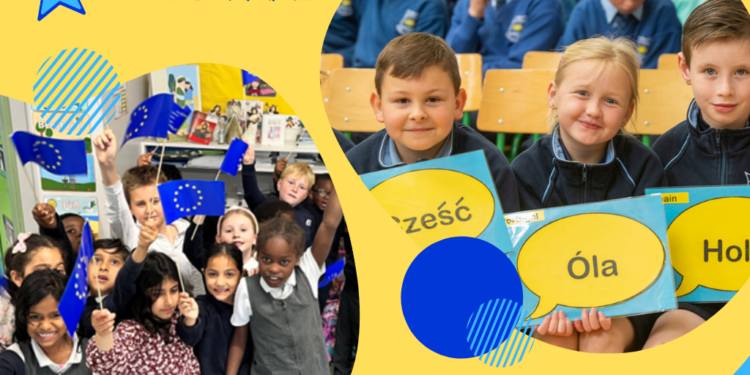 Limerick schools called to wave the EU flag high with educational Blue Star programme