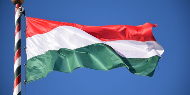 Hungary claims every European country does business with Russia