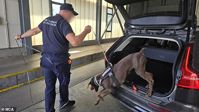 Law enforcement experts predict the seizures will have denied the organised crime networks around £16.6 million in profit they would have made from crossings using the equipment