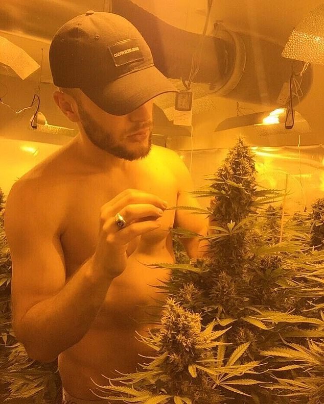 Video adverts on social media have been used to recruit potential cannabis farm workers