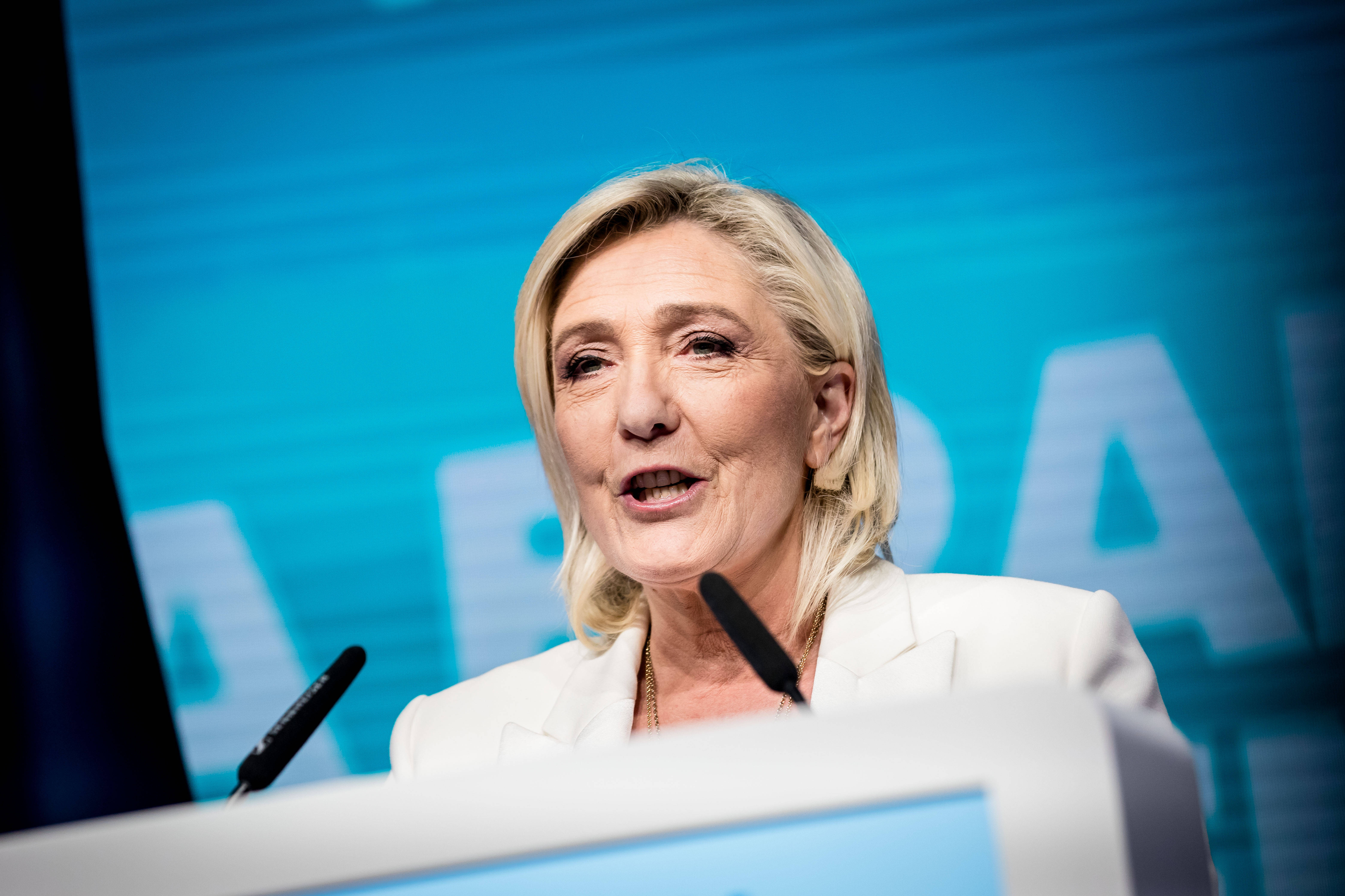 Marine Le Pen's National Rally gained 31.5 per cent of the popular vote this summer