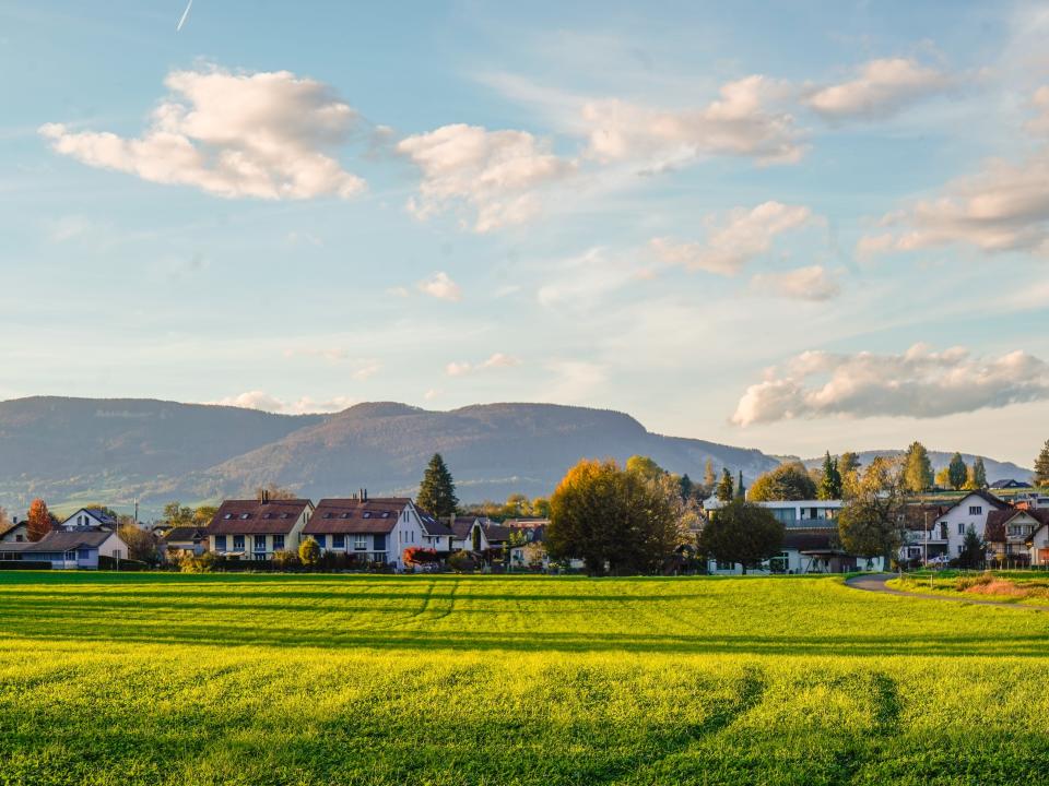 A sunlit field.