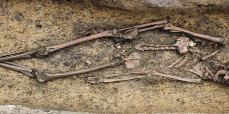 50 "exceptionally well-preserved" Viking skeletons unearthed in Denmark