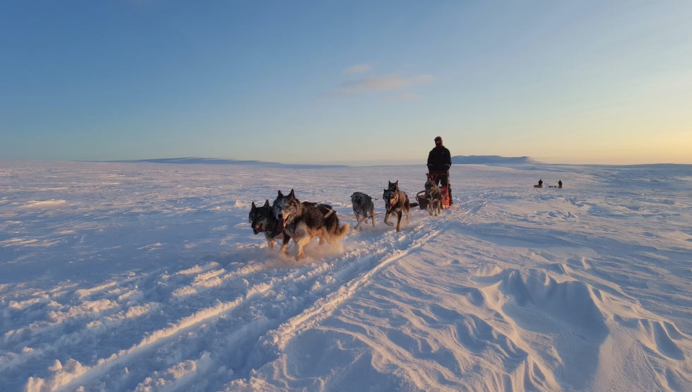 norwegian arctic dog sledding hotel sorrisniva