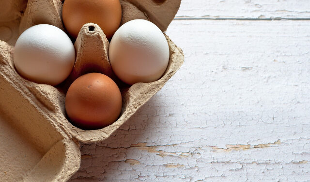 EU Considers Measures to Protect Bulgarian Poultry Industry from Ukrainian Egg Imports – Novinite.com