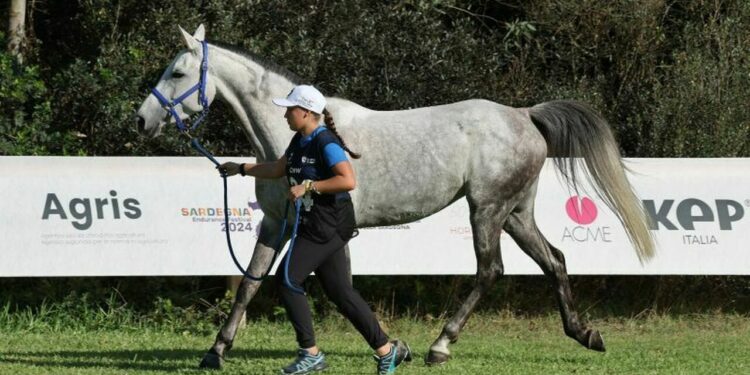 Sardinia Endurance Festival: European U21 and World Young Horses Championships