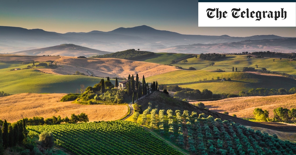 Europe’s 12 best wine regions to visit – and three vineyard holidays to book