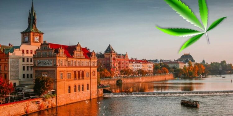 Flora Growth Scores Exclusive Distribution Deal With Canapuff For Vessel Brand In Czech Republic – Flora Growth (NASDAQ:FLGC)