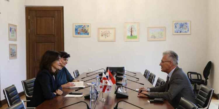 Georgian Parliament Committee Chair, Croatian Ambassador discuss relations