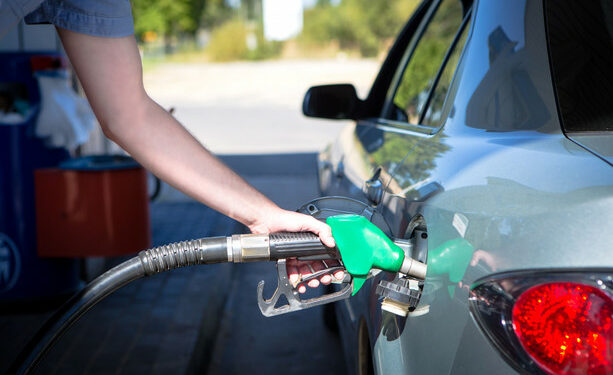 Irish cars are running on more biofuel than ever - but is it what we think it is?