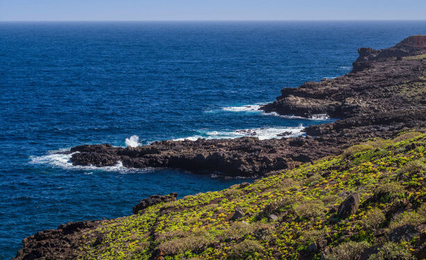 Nine people dead and 48 missing after migrant boat sinks off Spain's Canary Islands