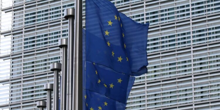 Six EU countries call for stricter supervision of Shein and Temu