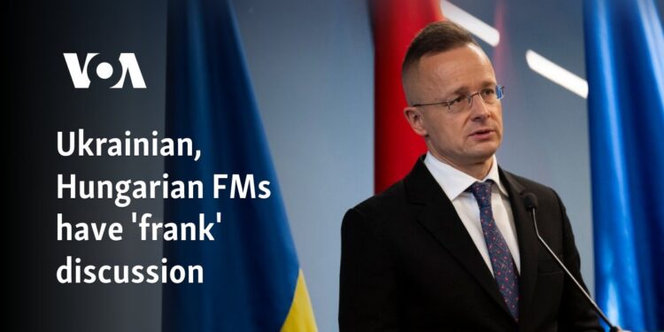 Ukrainian, Hungarian FMs have ‘frank’ discussion