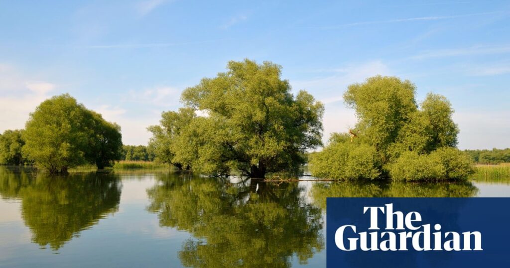 ‘It’s full of green areas’: mystery of Europe’s heat death hotspot | Croatia