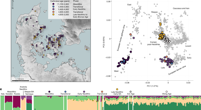 100 ancient genomes show repeated population turnovers in Neolithic Denmark