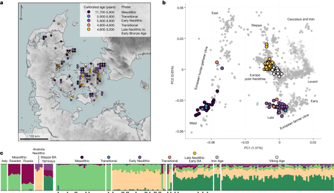 100 ancient genomes show repeated population turnovers in Neolithic Denmark