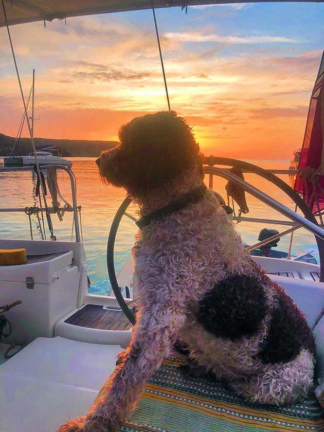 A couple sailing with a dog