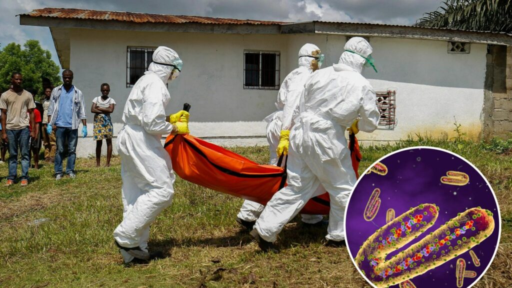 Fears Ebola-like ‘eye-bleeding disease’ that’s killed 9 has spread to Belgium – as hospital visits banned