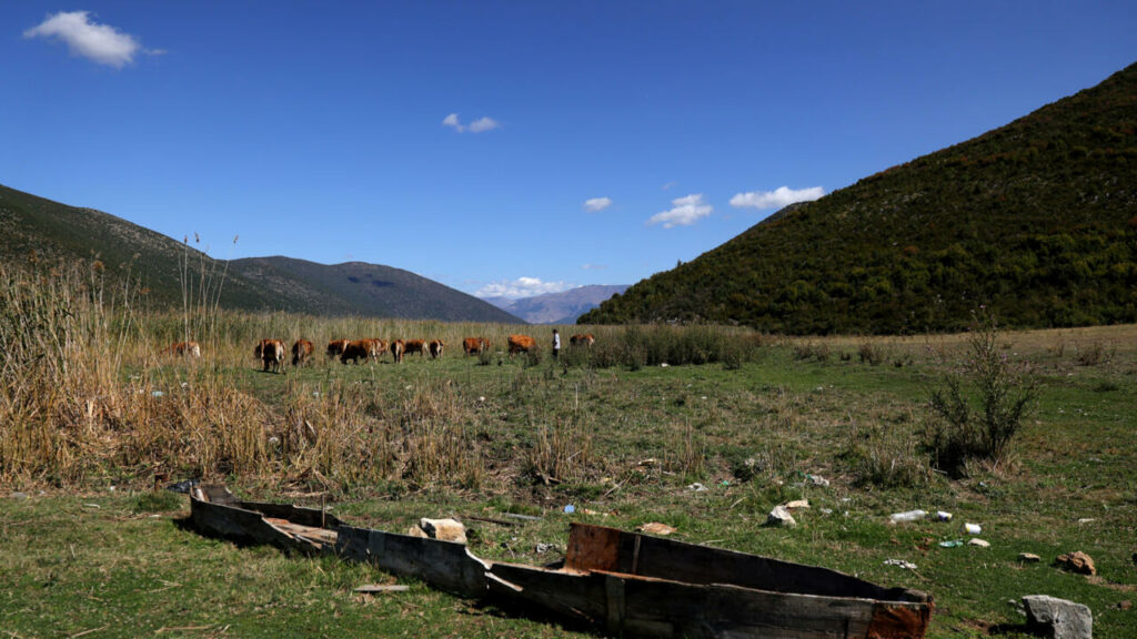 Shrinking lake on Albanian-Greek border struggles to survive